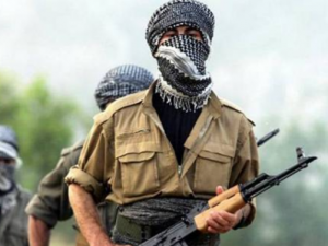 Qarabağda daha 12 PKK/YPG terrorçusu məhv edildi