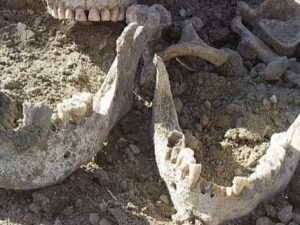 Ağdamda insan sümükləri tapılıb – FOTO