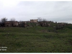 image-5_91616392769