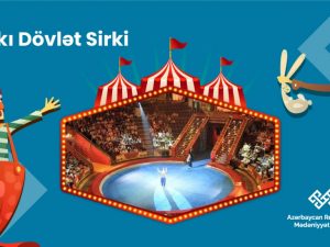 image-sirk-tvit-1