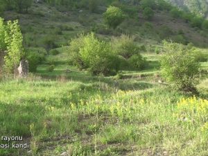 image-b7c5b321898c501325d61bcac3a28c60