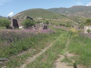 image-bf6ab5e22b9422f10b117559e11c167a
