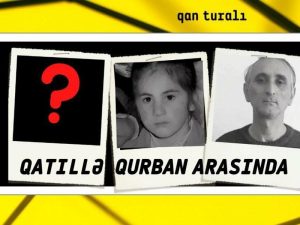 image-nermin