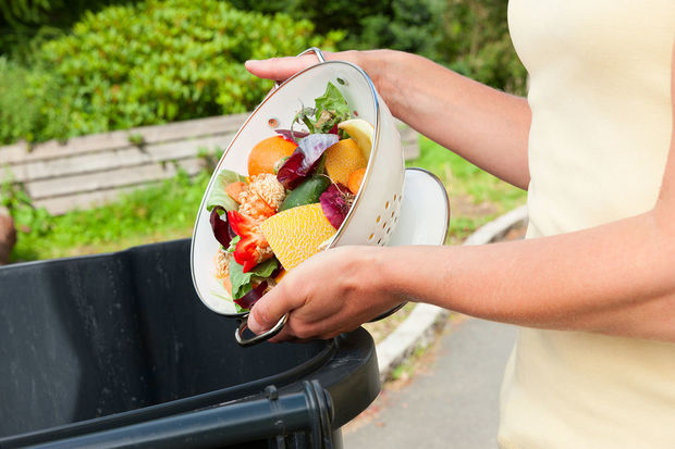 image-discarding-fruit-and-vegtable-waste