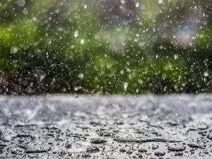 image-642fb7401d83d642fb7401d83e16808487042825a7cf62184de1d1a947339d302a52