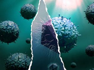 image-mirusvirus-ces-etranges-virus-a-la-croisee-des-chemins-de-levolution