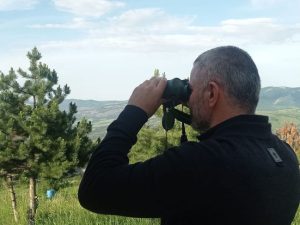 image-fotojet-7