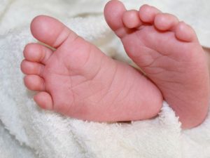 image-hand-feet-leg-finger-foot-child-human-nail-baby-mouth-close-up-human-body-nose-toes-infant-newborn-skin-organ-toe-sense-702884
