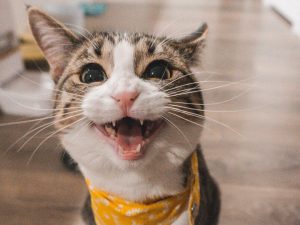 image-jae-park-7gx5aicb5i4-unsplash-pic_32ratio_900x600-900x600-43216
