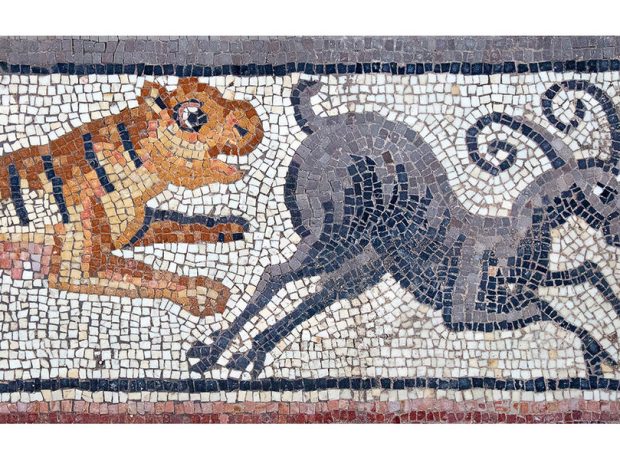 image-tiger-chasing-ibex-decorative-border-panel-in-the-huqoq-synagogue-mosaic-photo-by-jim-haberman_1200x675-pic_32ratio_900x600-900x600-28589
