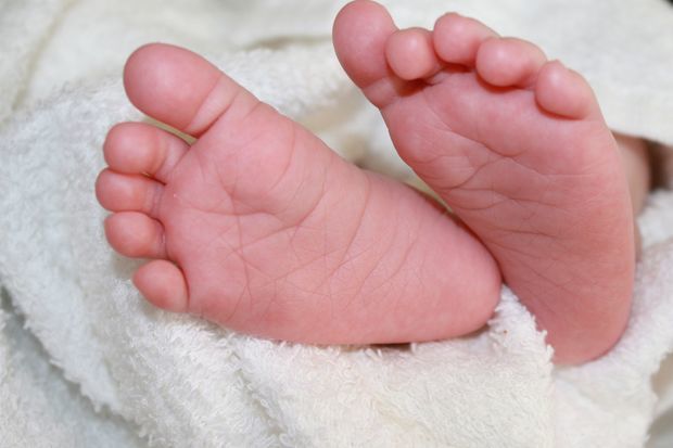 image-hand-feet-leg-finger-foot-child-human-nail-baby-mouth-close-up-human-body-nose-toes-infant-newborn-skin-organ-toe-sense-702884