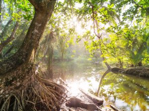 image-depositphotos_385737526_l-2015-pic_32ratio_900x600-900x600-21778