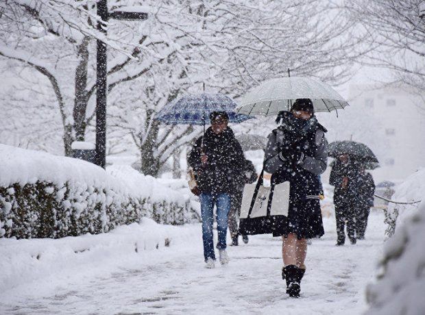 image-sneq_japan