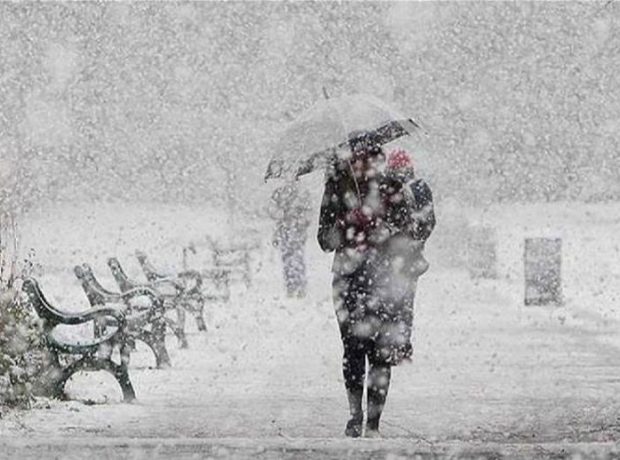 image-hava