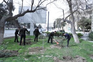 image-img-20240401-wa0065