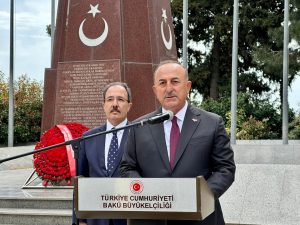 image-movlud1