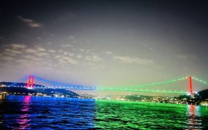 image-1699505987
