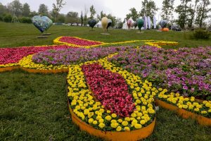 image-img_20240511_133326_151