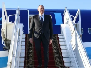 image-dzh6dge7nr78casqm2d1hhwk8pxy5i4y1kbohqfa_640