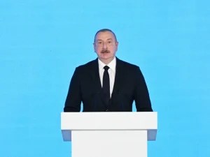 image-fwxwjjgfovkmazsi2nwm3eimbnioblkurwnhr3sj_640