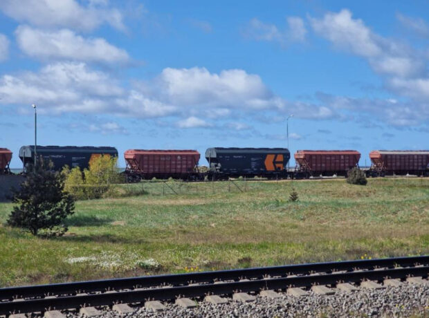image-17473322361290215453_1200x630