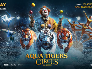 image-aqua-tigers-circcus-16x9