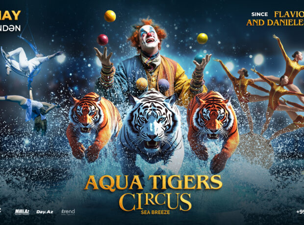 image-aqua-tigers-circcus-16x9