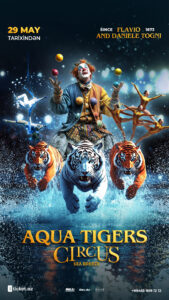 image-aqua-tigers-circcus-9x16
