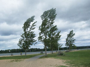 image-fe4b99f8-dc5a-4692-8814-c242cd36d079