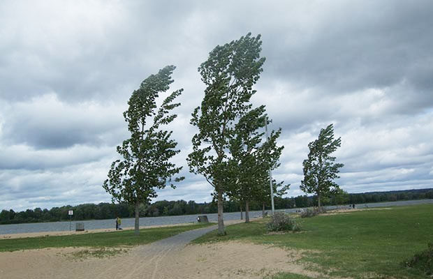 image-fe4b99f8-dc5a-4692-8814-c242cd36d079