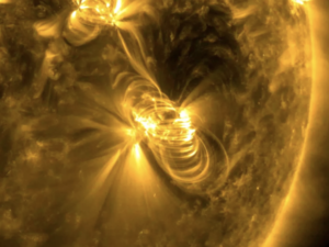 image-683d396b02e8bd26440e1598