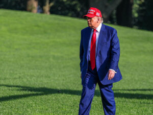 image-685a8e49ae5ac935e541e6c4