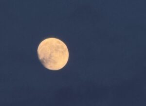 image-img_20250609_013326_294