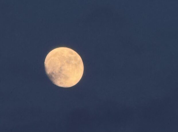 image-img_20250609_013326_294