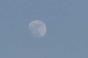 image-img_20250609_013326_354