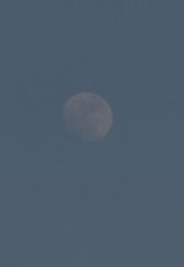 image-img_20250609_013326_391