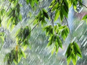 image-90c39e68-3ab7-3a75-ae00-42536d66be40_850