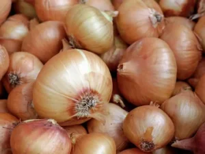 image-9923c942fff06b7