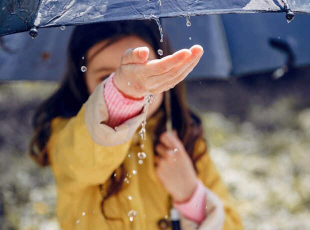 image-freepik125