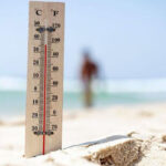 image-hava