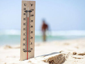 image-hava