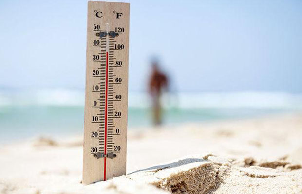 image-hava