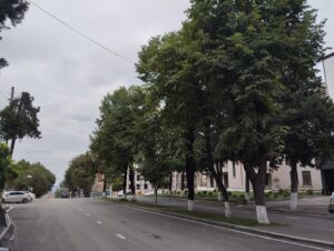 image-img-20250818-wa0055