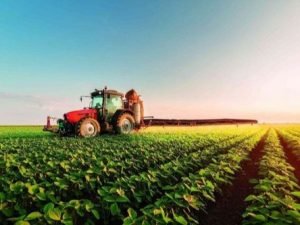 Aqrar sektorun ixracı 500 milyon dolları üstələyib