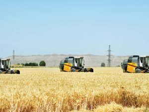 Kənd yerləri üzrə inkişaf planları hazırlanacaq
