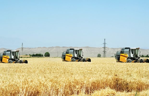 Kənd yerləri üzrə inkişaf planları hazırlanacaq