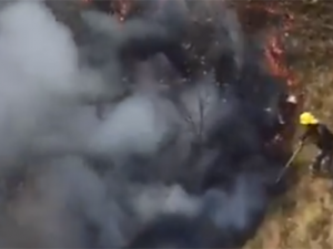 Ermənilər Daşkəsəni atəşə tutdu: Meşədə yanğın başladı – VİDEO