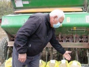 Xarı bülbül, Xudafərin, Ağdərə adını daşıyan yerli sort taxıl toxumları yaradılıb