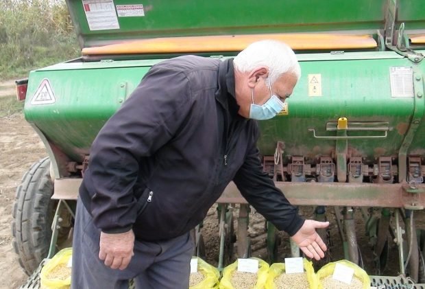Xarı bülbül, Xudafərin, Ağdərə adını daşıyan yerli sort taxıl toxumları yaradılıb