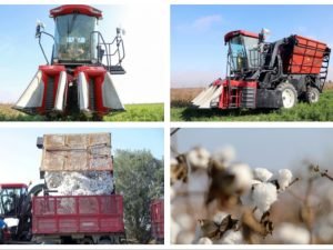 Kiçik pambıq təsərrüfatları üçün yeni kombaynlar sınaqdan keçirilir